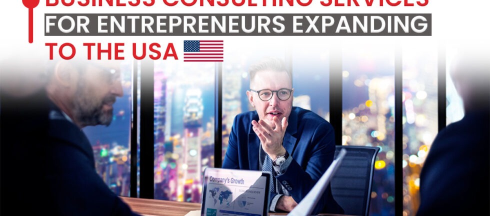 Business Consulting Services in USA