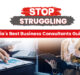 business consultant firm virginia