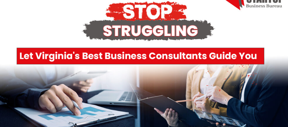 business consultant firm virginia