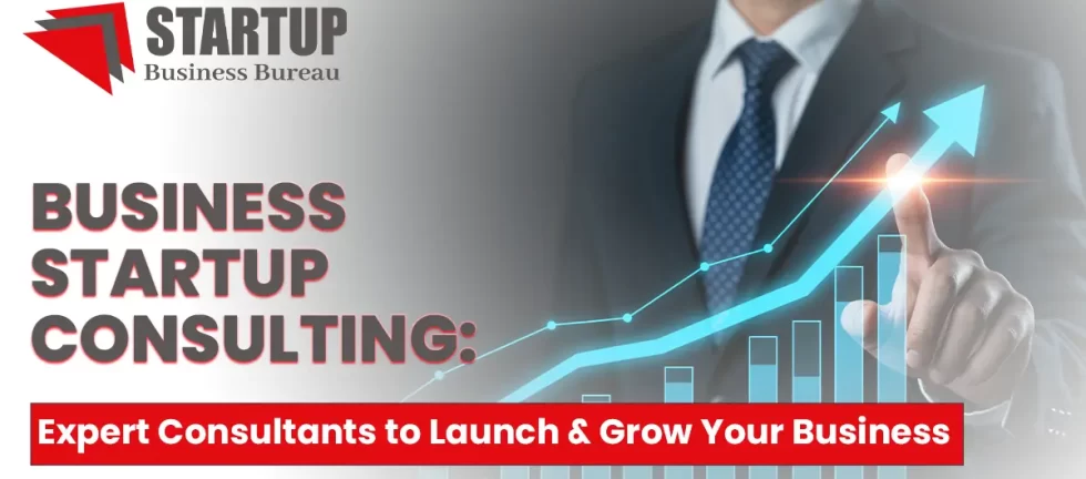 business startup consulting